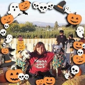 Meet your Posher, Carol